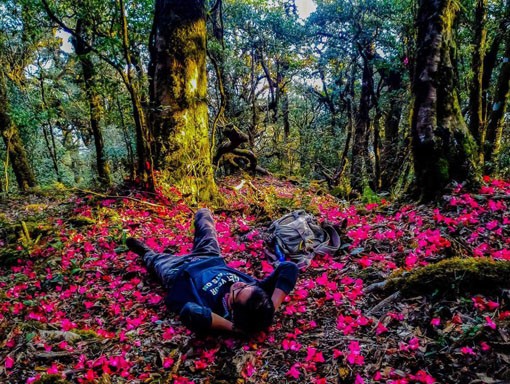 Chinh phục các ngọn núi là một cách để hòa mình vào thiên nhiên. (Ảnh minh họa - Nguồn: Trekking-Camping)