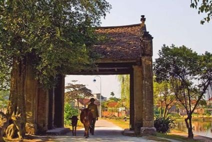 Mông Phụ đón khách bằng một chiếc cổng cổ ẩn mình dưới cổ thụ xòe tán rộng, kế bên là rặng duối lâu năm tuổi. Ảnh: Báo PLVN
